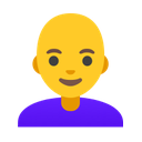 google version
