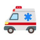 google version
