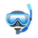 google version