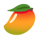 google version