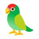 google version
