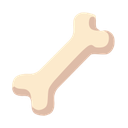google version