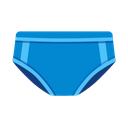 google version