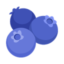 google version