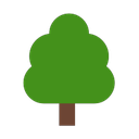 windows version