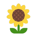 windows version