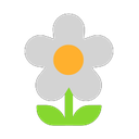 windows version