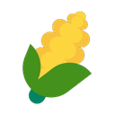 windows version