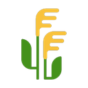 windows version