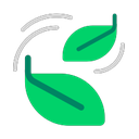 windows version