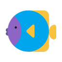 windows version