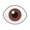 windows version