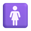 windows version
