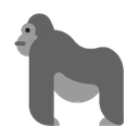 windows version