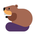 windows version