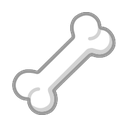windows version