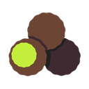 windows version