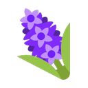 windows version