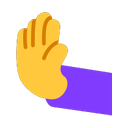 windows version